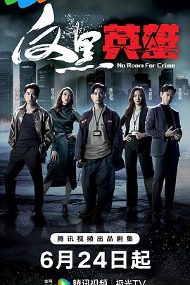 献县seo哪家价格低